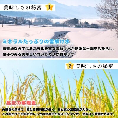 【令和7年産】コシヒカリ～木内ファームのお米～ 玄米 10kg(10kg×1袋)