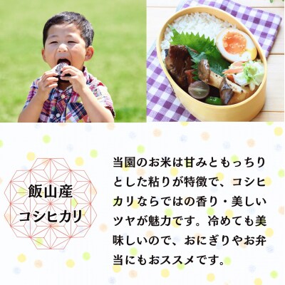 【令和7年産】コシヒカリ～木内ファームのお米～ 玄米 20kg(10kg×2袋)