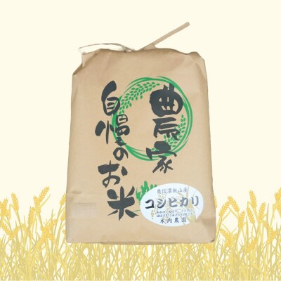 【令和7年産】コシヒカリ～木内ファームのお米～ 玄米 20kg(10kg×2袋)