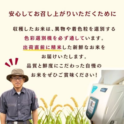 【令和7年産】つきあかり～木内ファームのお米～ 精米 5kg(5kg×1袋)