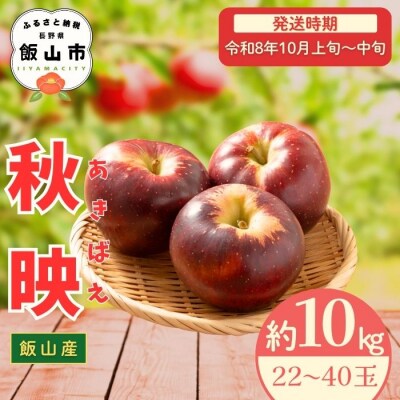 【先行予約丨2026年10月上旬より順次発送】秋映【約10kg (22～40玉)】