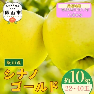 【先行予約丨2026年10月下旬より順次発送】シナノゴールド【約10kg (22〜40玉)】