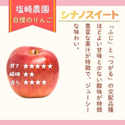 【先行予約丨2026年10月中旬より順次発送】訳あり シナノスイート【約3kg(6～14玉)】