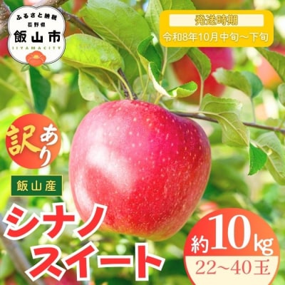 【先行予約丨2026年10月中旬より順次発送】訳あり シナノスイート【約10kg (22～40玉)】