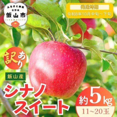 【先行予約丨2026年10月中旬より順次発送】訳あり シナノスイート【約5kg (11〜20玉)】