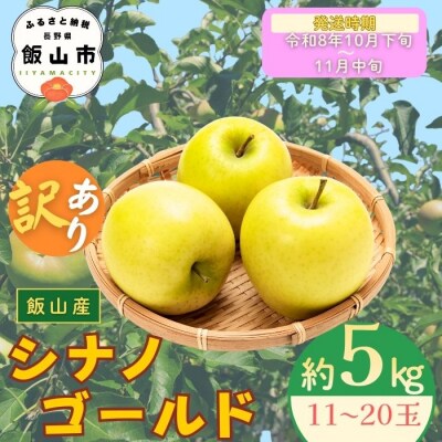 【先行予約丨2026年10月下旬より順次発送】訳あり シナノゴールド【約5kg(11〜20玉)】