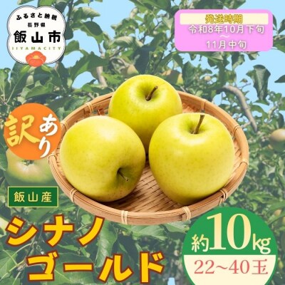 【先行予約丨2026年10月下旬より順次発送】訳あり シナノゴールド【約10kg(22〜40玉)】