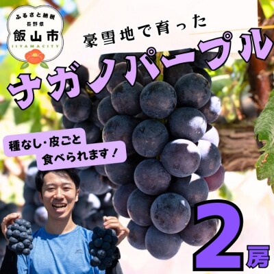 【先行予約】 ナガノパープル 2房 (約1kg) 《 2026年10月～発送 》 