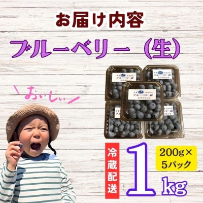 【2026年発送 先行予約】 <生> 完熟 ブルーベリー 姫 1kg 《 2026年7月より発送 》