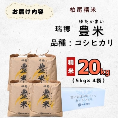 【令和7年産】瑞穂 豊米(ゆたかまい) こしひかり  精米 20kg(5kg×4袋)