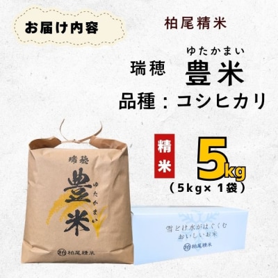 【令和7年産】瑞穂 豊米(ゆたかまい) こしひかり  精米 5kg(5kg×1袋)
