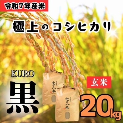 <令和7年産>極上のコシヒカリ「708米(なおやまい)【黒】」玄米20kg(10kg×2袋) 
