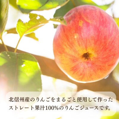 北信州産100%りんごジュース 1L×6本