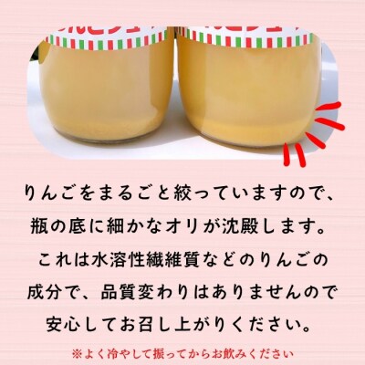 北信州産100%りんごジュース 1L×6本