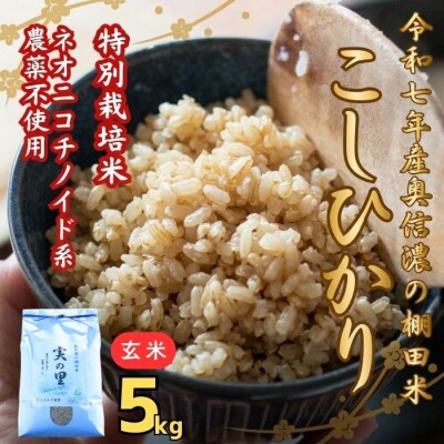 【令和7年産】特別栽培米 『奥信濃の棚田米 実の里』こしひかり 玄米 5㎏(5kg×1袋)