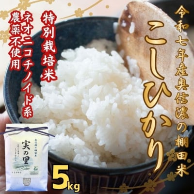 【令和7年産】特別栽培米 『奥信濃の棚田米 実の里』こしひかり 精米 5㎏(5kg×1袋)