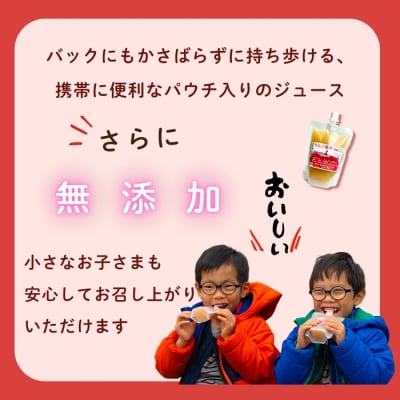 【冷凍OK】無添加 果汁100% りんごジュース  150ml 20袋 パウチタイプ