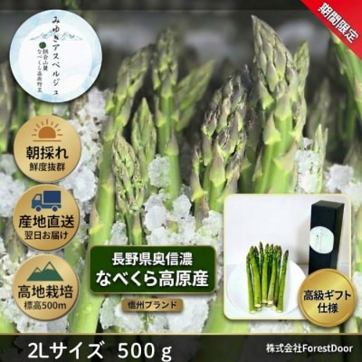【期間限定】アスパラガス みゆきアスペルジュ 2Lサイズ 500g入り(8～9本)