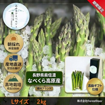 【期間限定】アスパラガス みゆきアスペルジュ Lサイズ 2kg入り(48〜56本)