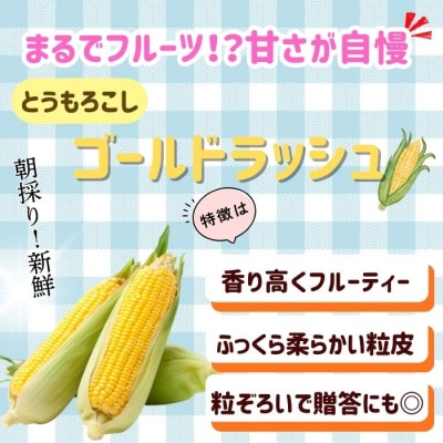 【先行予約】とうもろこし(ゴールドラッシュ)と枝豆セット～木内ファーム 夏の旬野菜セット～ 