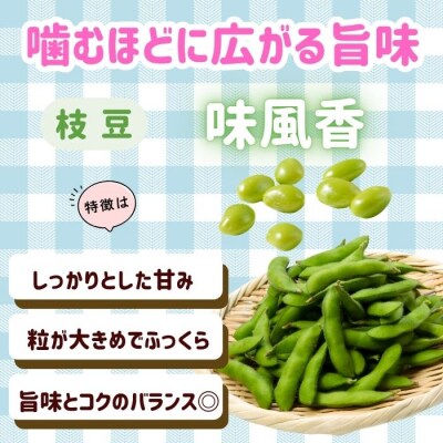【先行予約】とうもろこし(ゴールドラッシュ)と枝豆セット〜木内ファーム 夏の旬野菜セット〜 
