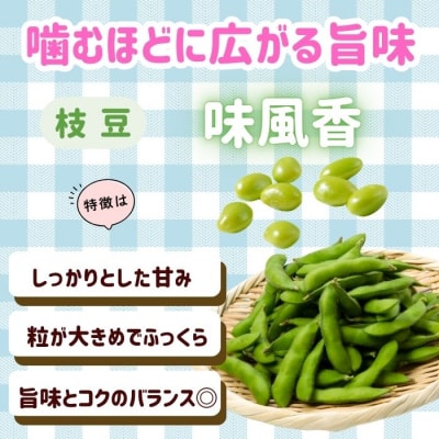 【先行予約】とうもろこし(ゴールドラッシュ)と枝豆セット～木内ファーム 夏の旬野菜セット～ 