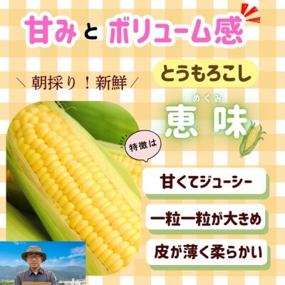 【先行予約】とうもろこし(恵味)と枝豆セット〜木内ファーム 夏の旬野菜セット〜 