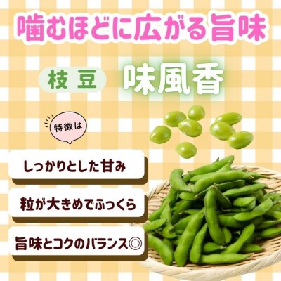 【先行予約】とうもろこし(恵味)と枝豆セット〜木内ファーム 夏の旬野菜セット〜 