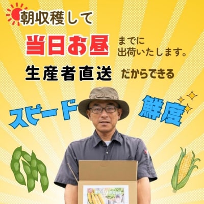 【先行予約】とうもろこし(恵味)と枝豆セット～木内ファーム 夏の旬野菜セット～ 
