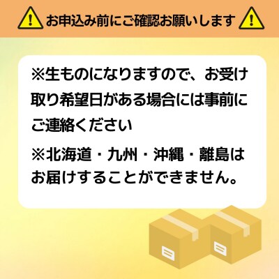 郷土食「信州サーモン(スモーク)笹ずし(20枚)
