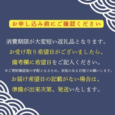信州産 手打ち 生そば「信州十割ぼくち蕎麦」4食セット そばつゆ付 