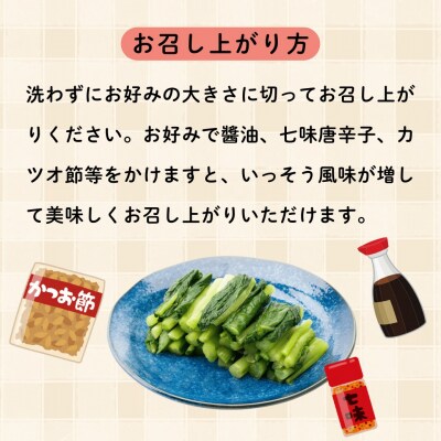野沢菜漬　タル 1kg