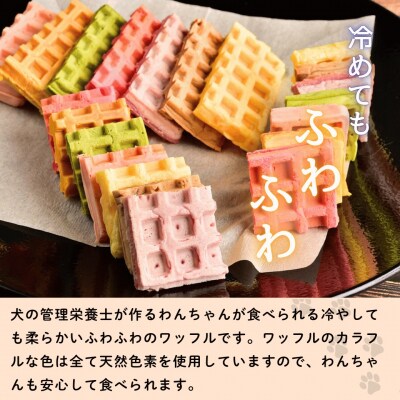 【冷凍】 わんちゃんが食べられる「虹色ワッフル」10個セット