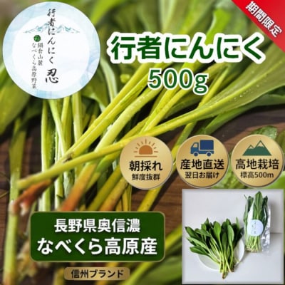 【期間限定】行者にんにく 忍 500g入り　1箱(70枚～75枚)