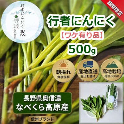 【期間限定】＼訳あり/行者にんにく 忍 500g入り 1箱(70枚～75枚)
