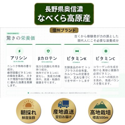 【期間限定】＼訳あり/行者にんにく 忍 500g入り 1箱(70枚～75枚)