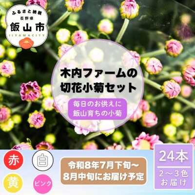 【期間限定】小菊 切り花 奥信濃飯山 ～木内ファームの切花小菊24本セット～