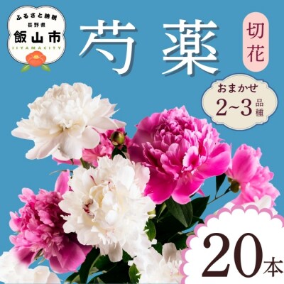 【先行予約】芍薬 切花 おまかせ2～3品種 20本セット