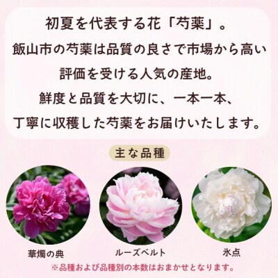 【先行予約】芍薬 切花 おまかせ2〜3品種 20本セット