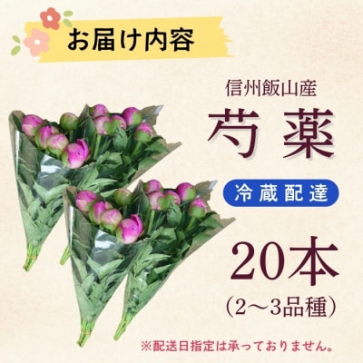 【先行予約】芍薬 切花 おまかせ2〜3品種 20本セット