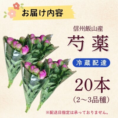 【先行予約】芍薬 切花 おまかせ2～3品種 20本セット