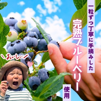 手作りジェラート ブルーベリー姫 8個 