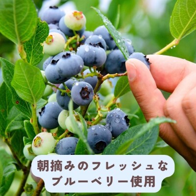 手作りジェラート ブルーベリー姫 8個 