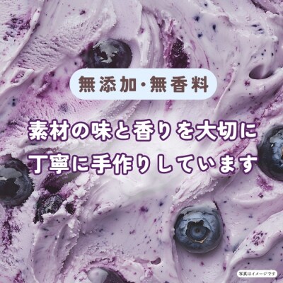 手作りジェラート ブルーベリー姫 8個 