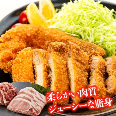 【冷凍配送】満喫!食べ尽くしセット【みゆきポーク】