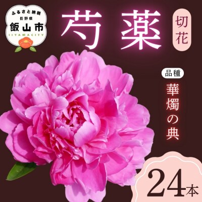 【先行予約】芍薬 切花 〜華燭の典〜 24本セット