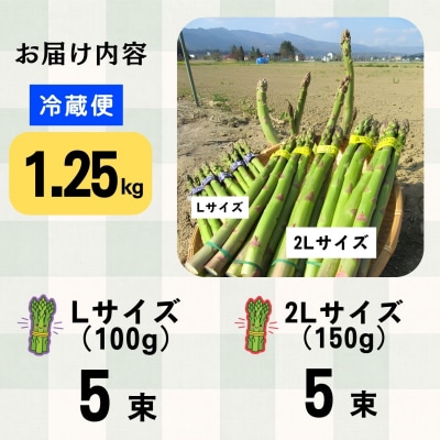 【期間限定】信州産 アスパラガス L・2Lサイズセット 1.25kg