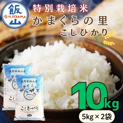 【令和8年新米予約】特別栽培米 「かまくらの里 コシヒカリ」 精米 10kg (5kg×2袋)