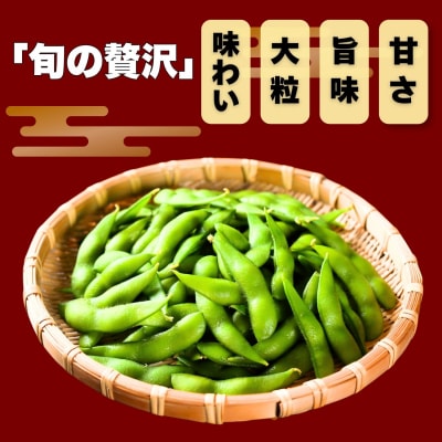 【先行予約】枝豆「雪音(ゆきね)」2.5kg (250gx10袋)《2026年8月下旬より発送予定》