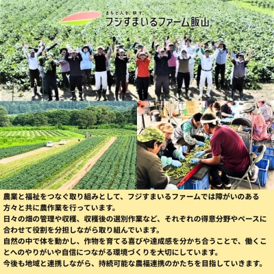 【先行予約】枝豆「雪音(ゆきね)」2.5kg (250gx10袋)《2026年8月下旬より発送予定》